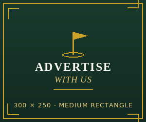 Medium rectangle advertising slot 300x250